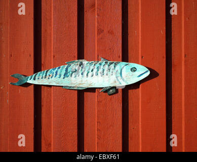 Il pesce come decorazione in corrispondenza di una, Germania, Schleswig-Holstein, Amrum, Stenodde Foto Stock