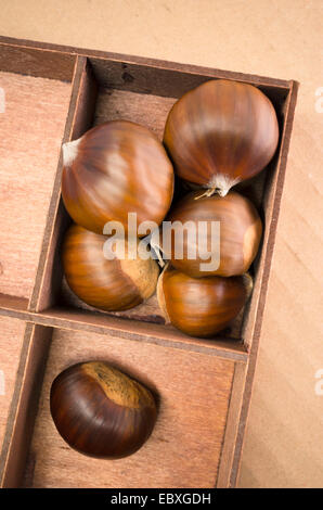 Mature le castagne in una scatola di legno su una luce superficie marrone Foto Stock