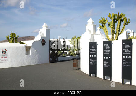 Fondazione Cesar Manrique in Tahiche, Lanzarote Foto Stock