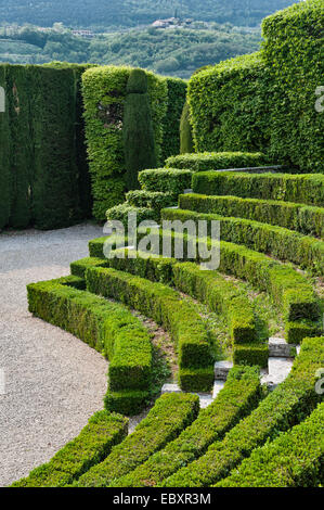 Siepi di scatola e carpino perfettamente tagliate formano il teatro verde 18c disegnato da Luigi Trezza, a Villa Rizzardi, Negrar, Veneto, Italia Foto Stock