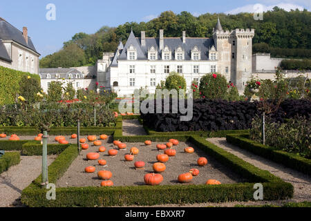 Chateau de Villandry con zucche, Francia Foto Stock