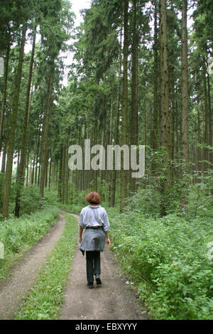 Donna che cammina sulla strada forestale Foto Stock