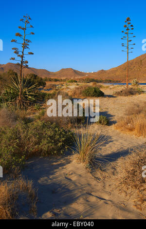 Los Genoveses beach, Genoveses Cove, Ensenada de los Genoveses, Cabo de Gata-Nijar Parco naturale e riserva della biosfera Foto Stock