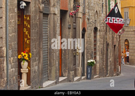 Via Bianchi di Sopra street, Sito Patrimonio Mondiale dell'UNESCO, Siena, Toscana, Italia, Europa Foto Stock