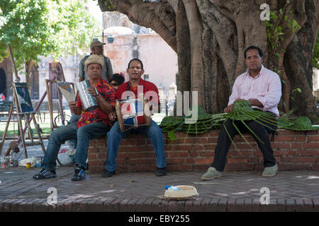 Dominikanische Republik, Santo Domingo, Zona Colonial, Zona Colonial, Parque Colon Musikanten Foto Stock