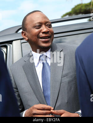 (141205) -- NAIROBI, dic5, 2014 (Xinhua) -- File foto scattata su Ott. 30, 2014 mostra il presidente keniano Uhuru Kenyatta per partecipare ad una conferenza a Nairobi in Kenya. Il procuratore della Corte Penale Internazionale (ICC) all'Aia lasciato cadere le accuse contro il Presidente keniano Uhuru Kenyatta su dicembre 5, 2014. (Xinhua/Meng Chenguang) Foto Stock