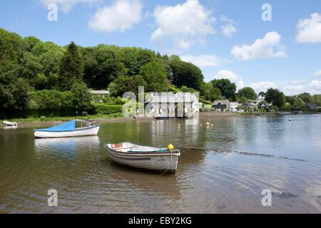 Un inizio giornata d'estate presso il Cornish Riverside villaggio di Lerryn accanto al fiume Lerryn che sfocia nel mare a Fowey. Foto Stock