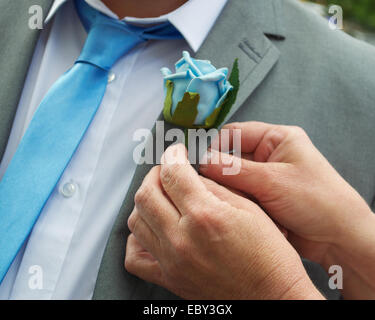 Un govern pulsante blu foro essendo fissa. Foto Stock