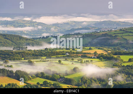 Nebbia copriva campagna di laminazione all'alba, Brecon Beacons, Galles. Estate (Agosto) 2014. Foto Stock