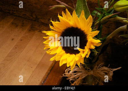 Bouquet di girasoli con pavimento di legno dello sfondo. Foto Stock