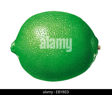 Lime Illustation Foto Stock