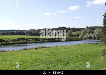 Blue sky view, a pendenza con alberi, fiume Ribble piatto di attraversamento di terreni agricoli verde paesaggio, a valle di Ribchester, Lancashire Foto Stock