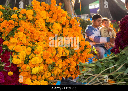 I fornitori preparare enormi cumuli di fiori utilizzare per decorare le tombe per il Giorno dei Morti festival noto in spagnolo come Día de Muertos presso il Mercato di Benito Juarez di Oaxaca, Messico. Foto Stock