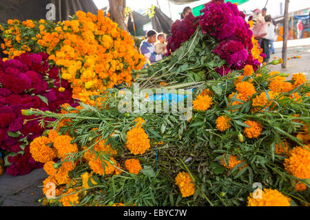 I fornitori preparare enormi cumuli di fiori utilizzare per decorare le tombe per il Giorno dei Morti festival noto in spagnolo come d'un de Muertos presso il Mercato di Benito Juarez di Oaxaca, Messico. Foto Stock