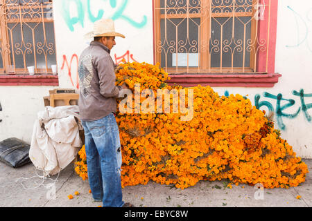 I fornitori preparare enormi cumuli di fiori utilizzare per decorare le tombe per il Giorno dei Morti festival noto in spagnolo come d'un de Muertos presso il Mercato di Benito Juarez di Oaxaca, Messico. Foto Stock