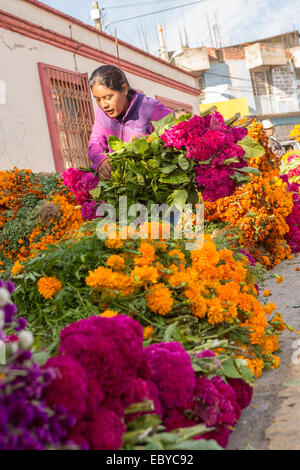 I fornitori preparare enormi cumuli di fiori utilizzare per decorare le tombe per il Giorno dei Morti festival noto in spagnolo come d'un de Muertos presso il Mercato di Benito Juarez di Oaxaca, Messico. Foto Stock