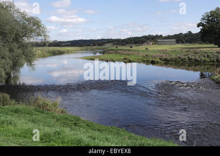 Cielo blu, il bianco delle nuvole vista, a monte attraverso i terreni agricoli a Pendle Hill, bassa weir Varcando il fiume Ribble, Ribchester, Lancashire, Regno Unito Foto Stock