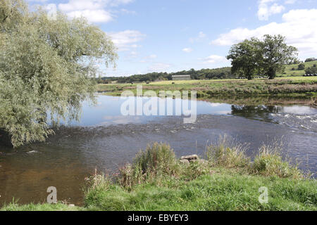 Cielo blu, il bianco delle nuvole vista dal monte Duddon Brook confluenza, fiume Ribble farmland paesaggio, Ribchester, Lancashire, Regno Unito Foto Stock