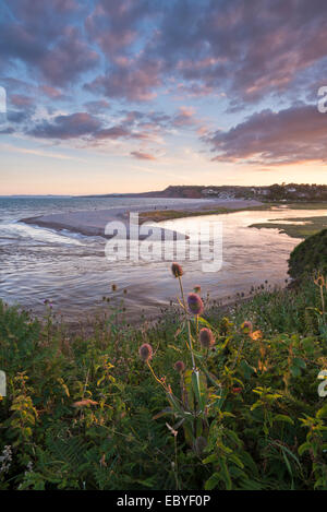 Bocca della Lontra di fiume e ciottoli allo spiedo, Budleigh Salterton, Devon, Inghilterra. In estate (Luglio) 2014. Foto Stock