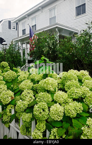 Scena di strada in sag harbor long island New York Foto Stock