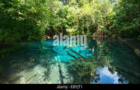 Il Cristallo blu piscina presso il Sa Morakot Pool di smeraldo di Krabi, in Thailandia Foto Stock