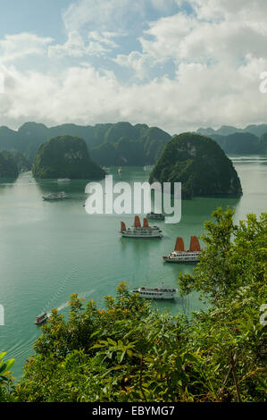 Halong Bay da Ti Top Isola, Vietnam Foto Stock