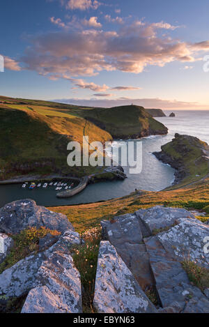 Boscastle porto dalla costa percorso, Cornwall, Inghilterra. Estate (Agosto) 2014. Foto Stock