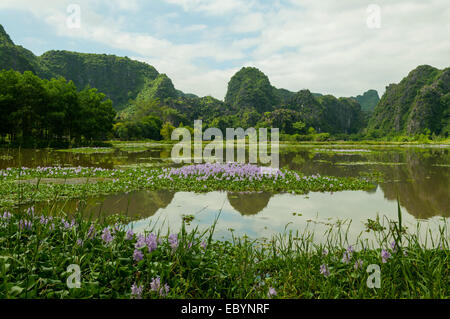 Vicino lago di Tam Coc, Vietnam Foto Stock