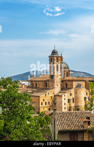 Il Duomo di Urbino, Marche, Italia, Europa Foto Stock