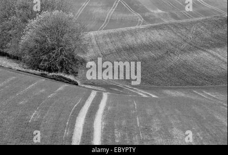 Visualizzazione Bianco e nero di un campo ondulatorio sulla South Downs vicino Houghton (Amberley), West Sussex che mostra i sentieri del trattore Foto Stock