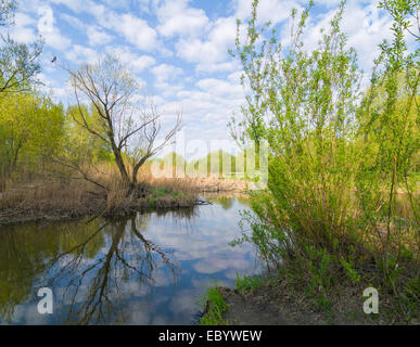 La molla paesaggi acquatici. Un corvo si siede sul ramo dell'albero secco Foto Stock