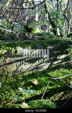 Abbandonato St Mary's sagrato, Eysey, vicino a Cricklade, Thames Path Foto Stock