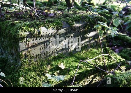 Abbandonato St Mary's sagrato, Eysey, vicino a Cricklade, Thames Path Foto Stock