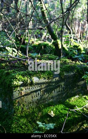 Abbandonato St Mary's sagrato, Eysey, vicino a Cricklade, Thames Path Foto Stock