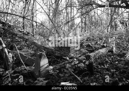 Abbandonato St Mary's sagrato, Eysey, vicino a Cricklade, Thames Path Foto Stock