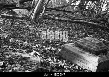 Abbandonato St Mary's sagrato, Eysey, vicino a Cricklade, Thames Path Foto Stock