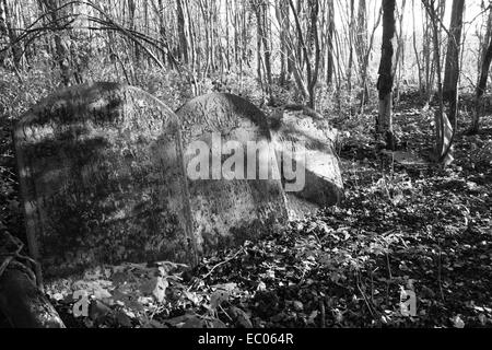 Abbandonato St Mary's sagrato, Eysey, vicino a Cricklade, Thames Path Foto Stock