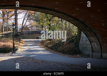 Arco Winterdale sottopassaggio nel Central Park di New York. Foto Stock