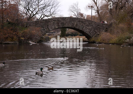 Gapstow Bridge nel Central Park di New York City. Foto Stock