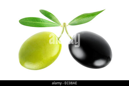 Verde e nero oliva isolato su bianco Foto Stock