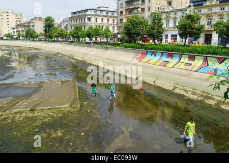 La gente camminare nel fiume Dâmbovița per una pulizia annuale durante il basso livello dell'acqua a Bucarest, in Romania. Foto Stock