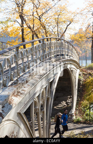 Ponte gotico nel Central Park di New York Foto Stock