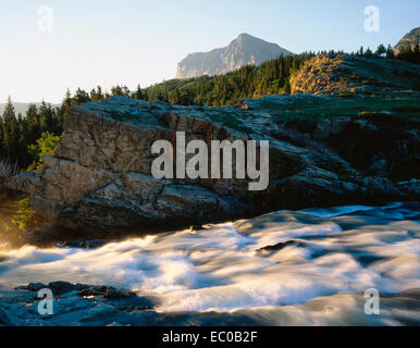 Calda luce del mattino bagna le rapide di Swiftcurrent Creek. Il Parco Nazionale di Glacier, Montana Foto Stock