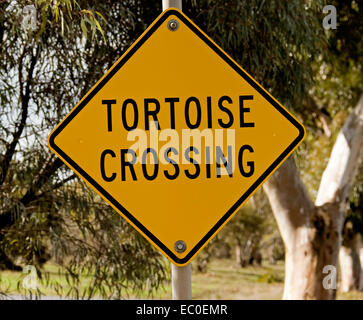 Gazzetta giallo e nero cartello stradale attenzione ai conducenti di guardare fuori per tartarughe attraversando la strada in Australia rurale Foto Stock