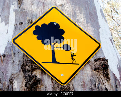 Segnale di avvertimento sul tronco di albero allertare le persone al pericolo di rami di alberi cadere e provocare lesioni gravi o persino la morte Foto Stock