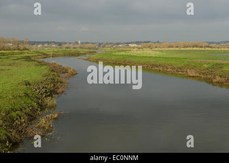 Il fiume Parrett nuovi membri a Muchelney sui livelli di Somerset guardando verso Langport REGNO UNITO Foto Stock