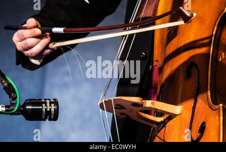 Kiev, Ucraina. Il 7 dicembre, 2014. Sul palcoscenico del Parlamento ucraino oggi, domenica 7 dicembre, 2014, Kiev, Ucraina, passò a premiere di '2014' per quattro voci e quattro contrabbassi. Gli autori del progetto Mariana Sadovskaya e Mark Tokar. Il concerto si è tenuto nel quadro del festival "Jazz Bez 2014'. "Jazz Bez 2014' è il più grande festival internazionale, che si tiene annualmente per oltre dieci anni, riunisce decine di città in Ucraina e Polonia. Credito: Igor Golovnov/Alamy Live News Foto Stock