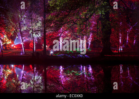 Bosco Incantato - tempo di notte le illuminazioni del parco, lago e alberi a Syon Park a Brentford, Londra Foto Stock