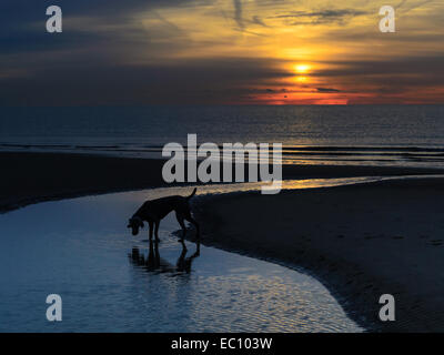 La mattina presto sorgere del sole sulla spiaggia con la bassa marea raffigurante un meraviglioso paesaggio marino all'alba Foto Stock