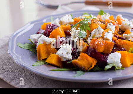 Zucca alla griglia e le barbabietole con insalata di rucola e formaggio feta Foto Stock